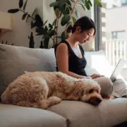 Toilet Paper Debate Settled: Expert Reveals the Right Way to Hang the Roll