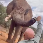 Tourist Slammed for 'Reckless' Cliff Jump at Iconic Seven Sisters as Onlookers Scream in Horror
