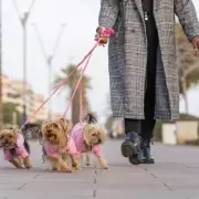 Tourist Trap or Hidden Gem? Why Locals in This Spanish Town Are Fed Up With Visitors