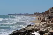 Toxic Blue Dragon Sea Slug Invasion Stuns Spanish Beachgoers in Guardamar del Segura