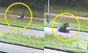 Tragedy in Holland: Teenager, 17, Stabbed to Death After Calling Police to Report Being Followed on Bike Ride Home