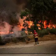 Tragedy in Portugal as Firefighter Dies Battling Wildfire – Heroic Efforts Amidst Blaze