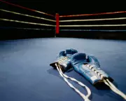Tragedy in the Ring: Two Japanese Boxers Die from Brain Injuries on Same Event