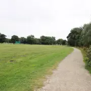 Tragedy in Westminster: Woman Killed as Tree Collapses During Storm