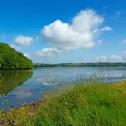 Tragedy Strikes at Wacker Quay: Woman's Body Found at Popular Beauty Spot
