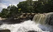 Tragedy Strikes: Body of Missing 12-Year-Old Boy Found at Popular Beauty Spot