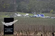 Tragic Shooting in Rural Victoria: Woman Killed, Man Injured in Porepunkah Incident