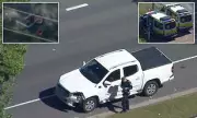 Tragic Twist: Father and Four-Year-Old Son Killed in Brisbane Ute Collision – Heartbreaking Details Revealed