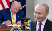 Trump Claims Putin Won't Meet Zelensky at US-Russia Summit – What's Behind the Statement?