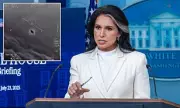 Tulsi Gabbard Shocks the World: Confirms Aliens Exist – What Did Trump Know?