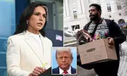 Tulsi Gabbard's 'Deep State' Purge: Former Democrat Axes Nearly Half of US Spy Agency Staff in Seismic Shake-Up