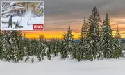 UK Braces for Bitter Winter as Old Farmer's Almanac Predicts Deep Freeze and Snow Deluge