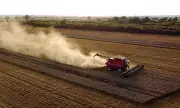 UK Drought Crisis: Harvest Plummets to Near-Record Low, Threatening Food Security