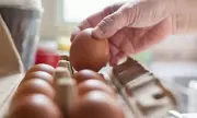 UK Egg Recall Crisis: Salmonella Outbreak Hospitalises Dozens Amid Major Health Alert