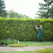 UK Gardeners Beware: This Common Plant Could Land You in Prison with Unlimited Fine