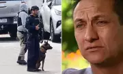 UK Manhunt Ends: Dezi Freeman Captured in Dramatic Police Raid After Nationwide Search
