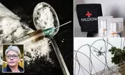 UK Prison Crisis: Over 50 Inmates Monthly Overdose on Deadly 'Spice' Cocktails