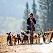 UK Vet Issues Urgent Warning: This Common Kitchen Ingredient Is Toxic For Your Pets