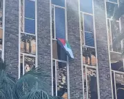 University of Sydney Sparks Outrage After Removing Palestinian Flag from Professor's Office
