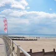 Urgent Warning for UK Dog Owners: Toxic Palm Oil Chunks Wash Up on Beaches