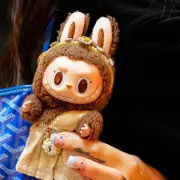 Urgent Warning Over 'Possessed' Labubu Dolls Sparking Safety Fears Across UK