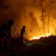 Urgent Wildfire Warning Issued Across UK as Heatwave Intensifies