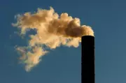 US Environmental Agency Sued Over Freeze on Climate Justice Grants