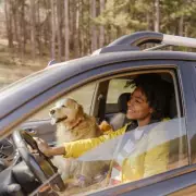 Vets Reveal the One Thing You Should Never Do When Leaving Your Pet Alone