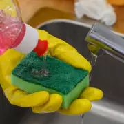 Washing-Up Liquid Hack: The 30p Trick to Banish Flies From Your Home All Summer