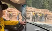 Washington State Fire Crews in Crisis: US Border Patrol Arrests Elite Wildfire Fighters