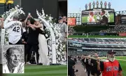 White Sox Fans Tie the Knot in a Minute—Then Celebrate with a 50-Foot Hot Dog!