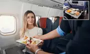 Why You Should Think Twice Before Eating Free Plane Food – The Shocking Truth