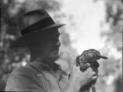 Winston Churchill’s Bizarre Wartime Request: A Personal Platypus for the PM