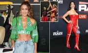 WWE Star Nikki Bella Reveals Shocking Breast Implant Injury During Match – Full Story