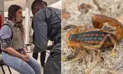 Zara Scorpion Sting Horror: Woman Hospitalised After Deadly Arachnid Attack in High Street Fitting Room
