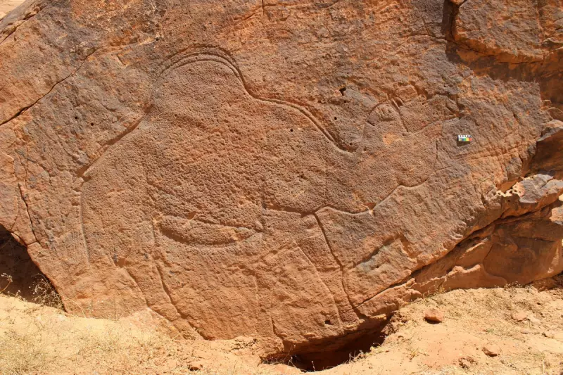 Ancient Human Migration Rewritten: Groundbreaking DNA Study Reveals Surprising Arabian Peninsula Origins