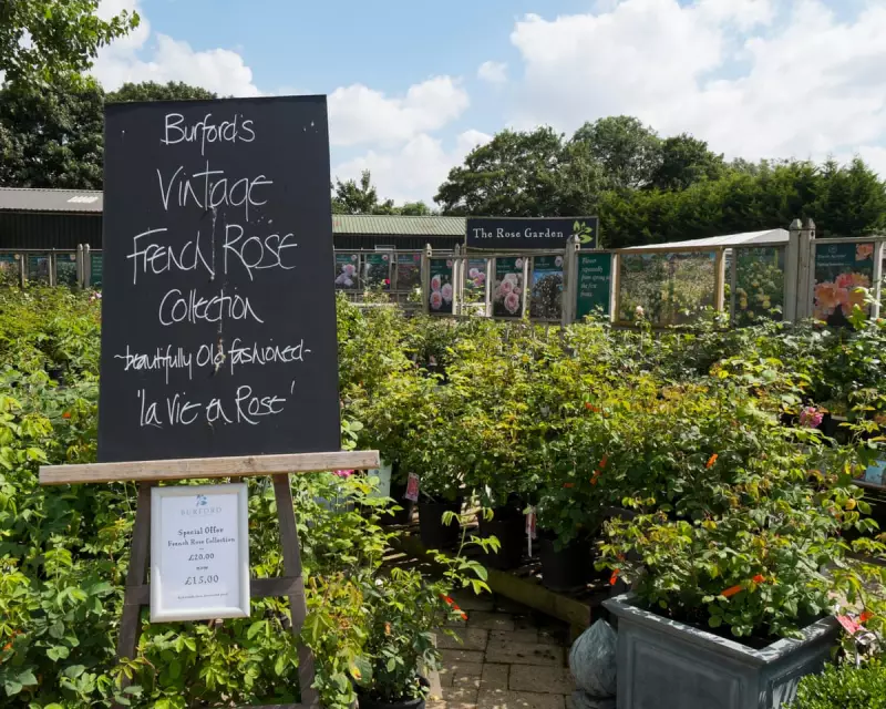 Burford Garden Centre: Inside the Cotswolds' Most Unlikely Celebrity Hotspot