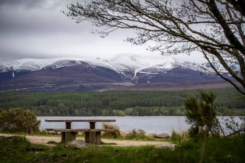 Cairngorm Mountain's Toboggan Run Forced to Close After Just Two Days Due to Technical Woes
