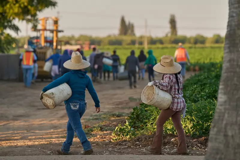California's Great Betrayal: Trump's Broken Promise to Deliver 'Gigantic' Water Project Leaves Central Valley Fuming