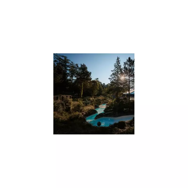 Center Parcs Staff Confess: The Shocking Secrets They Never Tell Guests | UK Travel Insider