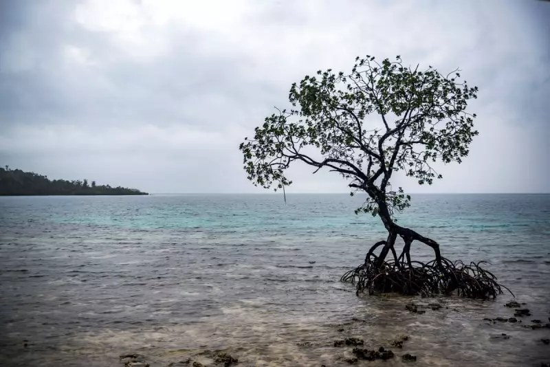 Climate Action Is a Legal Duty, Not Charity: Court Ruling Redefines Government Responsibility
