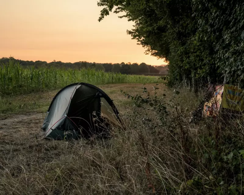 Country Diary: A Sanctuary Lost? Shocking Transformation of a Beloved Lancashire Wetland