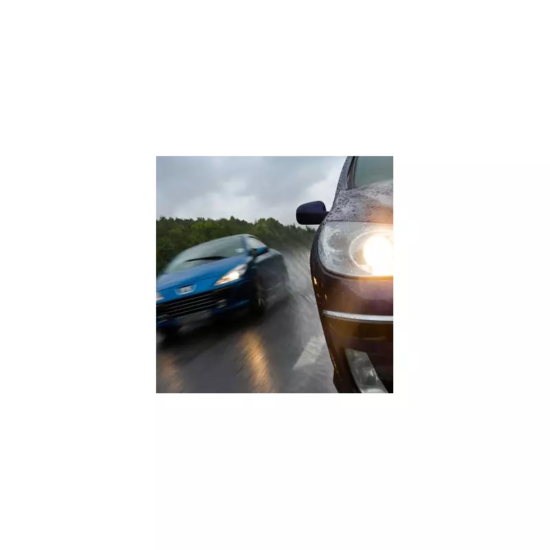 Drivers Risk £1000 Fines for Overlooking This Simple Car Feature