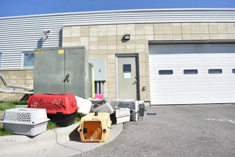 FBI Raids Yellowstone Animal Shelter in Shocking Animal Cruelty Probe
