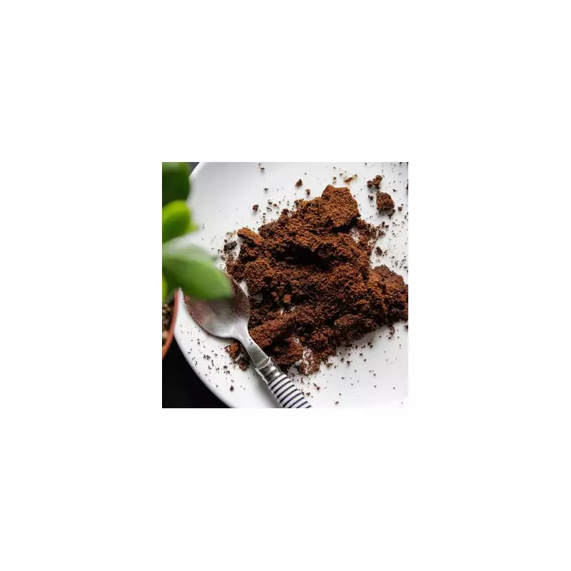 Gardeners' Secret Weapon: Why UK Households Are Sprinkling Coffee Grounds on Plants
