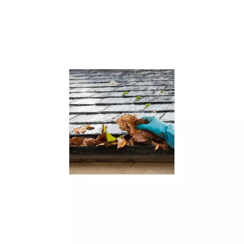 Gardening Experts Reveal 5 Genius Hacks to Stop Autumn Leaves Clogging Your Drains