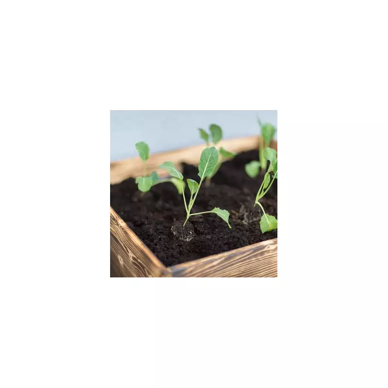 Green Thumbs Up! The Ultimate Guide to Crops You MUST Sow in Your Garden This October