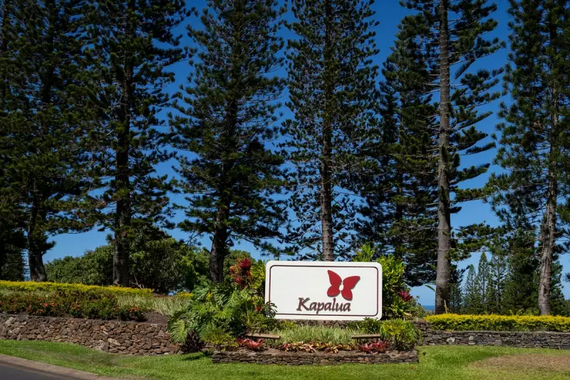 Hawaii's Uniqlo Tennis Tournament Sparks Outrage Over 'Plantation' Name
