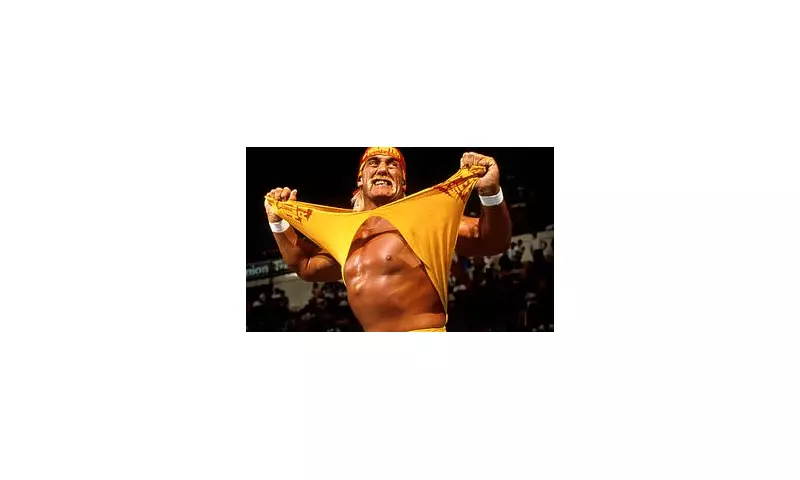 Hulk Hogan Snubbed: Wrestling Fans Outraged Over Emmy 'In Memoriam' Omission