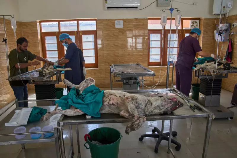 Kashmir's 'Miracle' Surgery: Indian Medics Perform Groundbreaking Reconstruction on Teenager